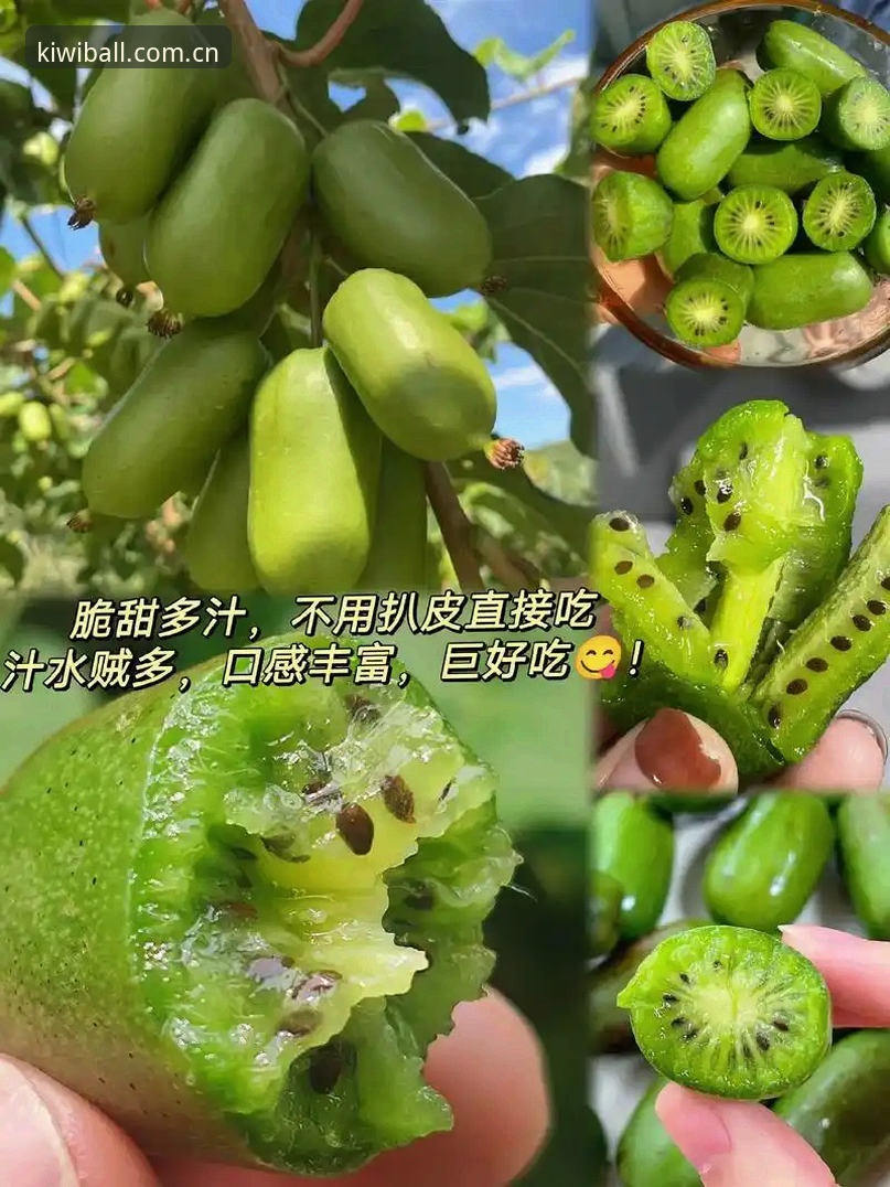 奇异果体育可靠吗安装教程 奇异果体育可靠吗安装教程?从v3.2.0与陈先生反馈看真实体验